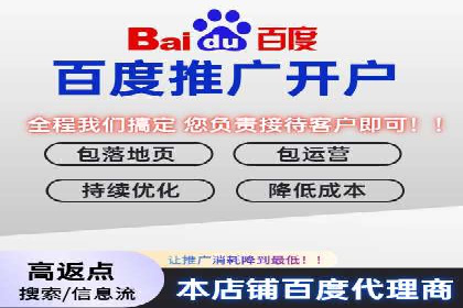 SEM托管服务成功案例：让广告投放更精准、更高效